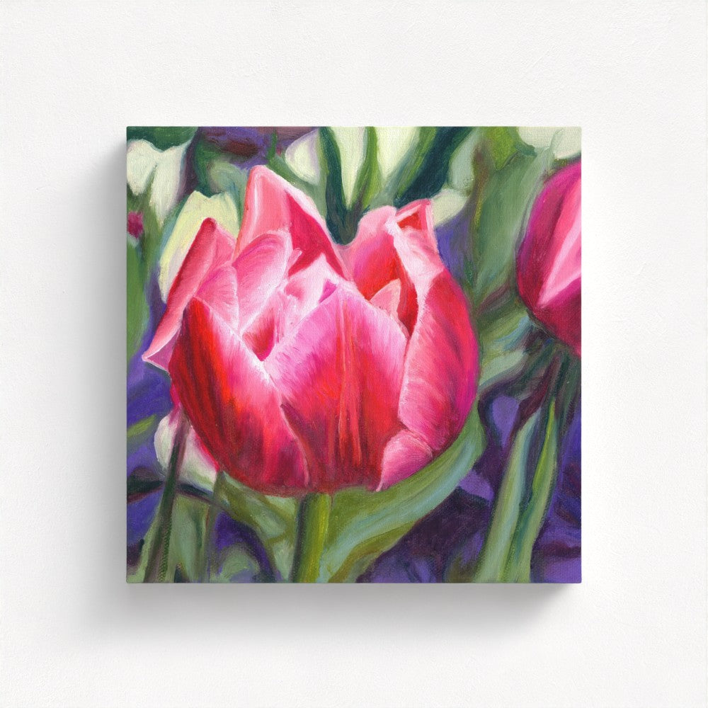 Rosy Tulip: A Blushing Delight