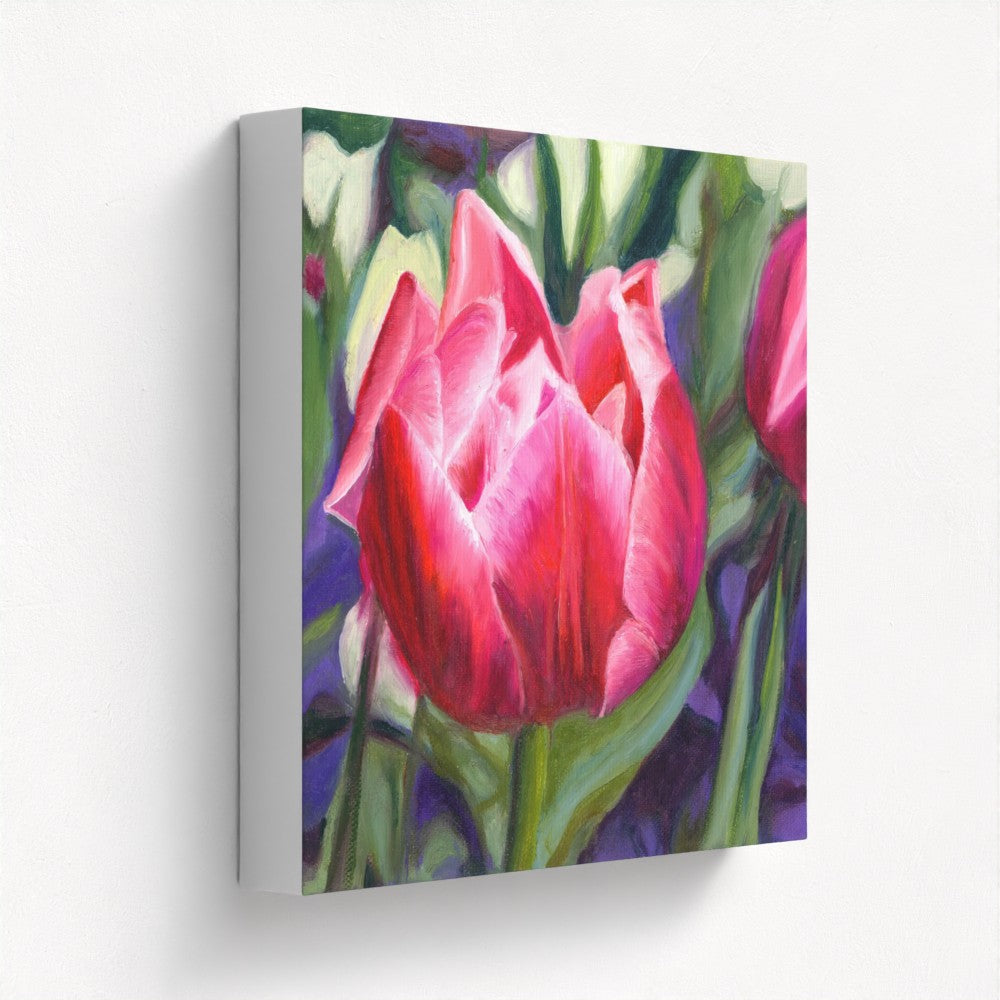 Rosy Tulip: A Blushing Delight