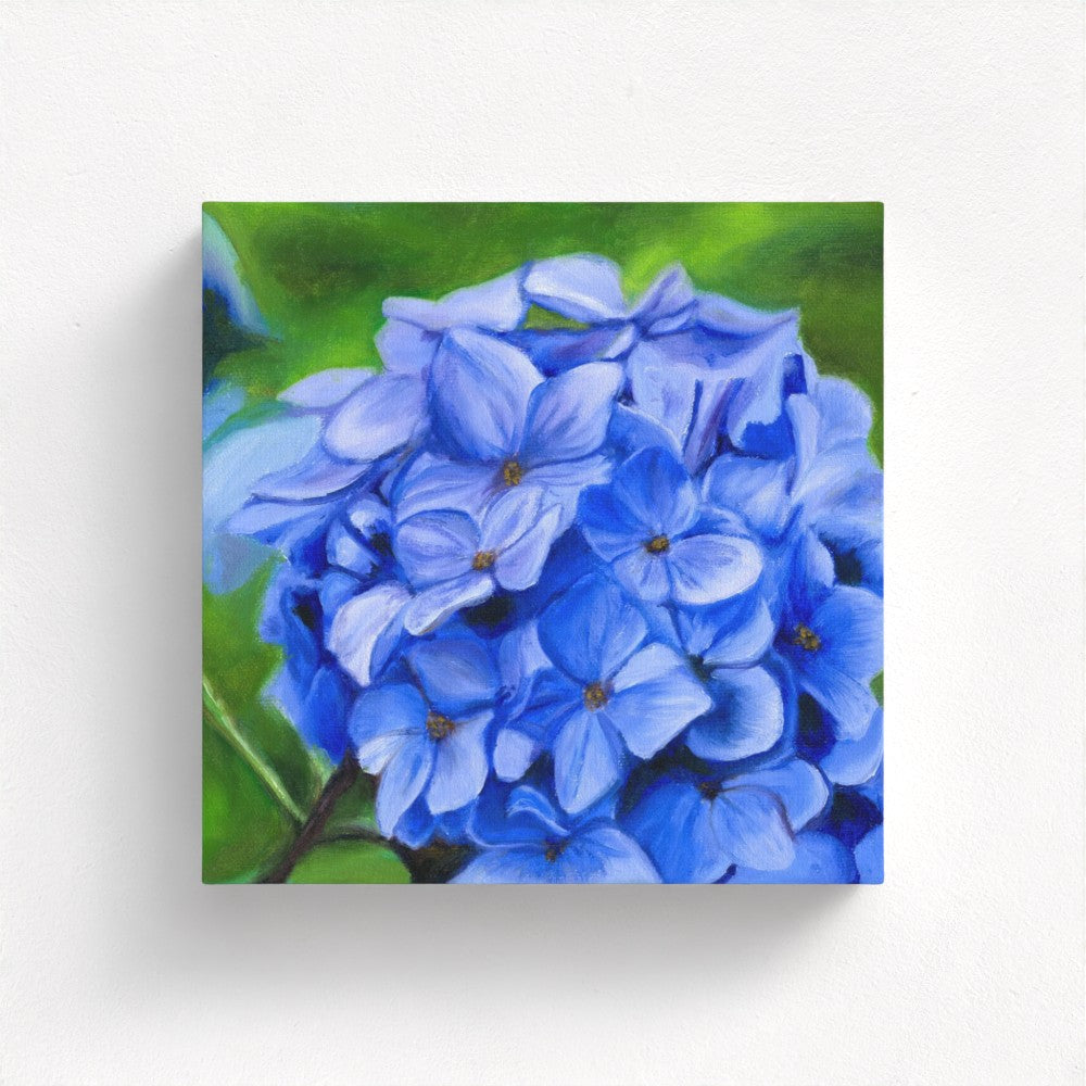 Hydrangea: A Blue Violet Bloom