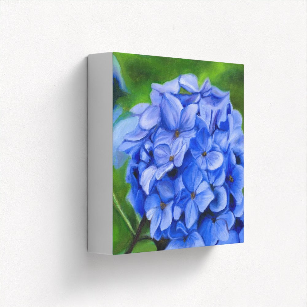 Hydrangea: A Blue Violet Bloom