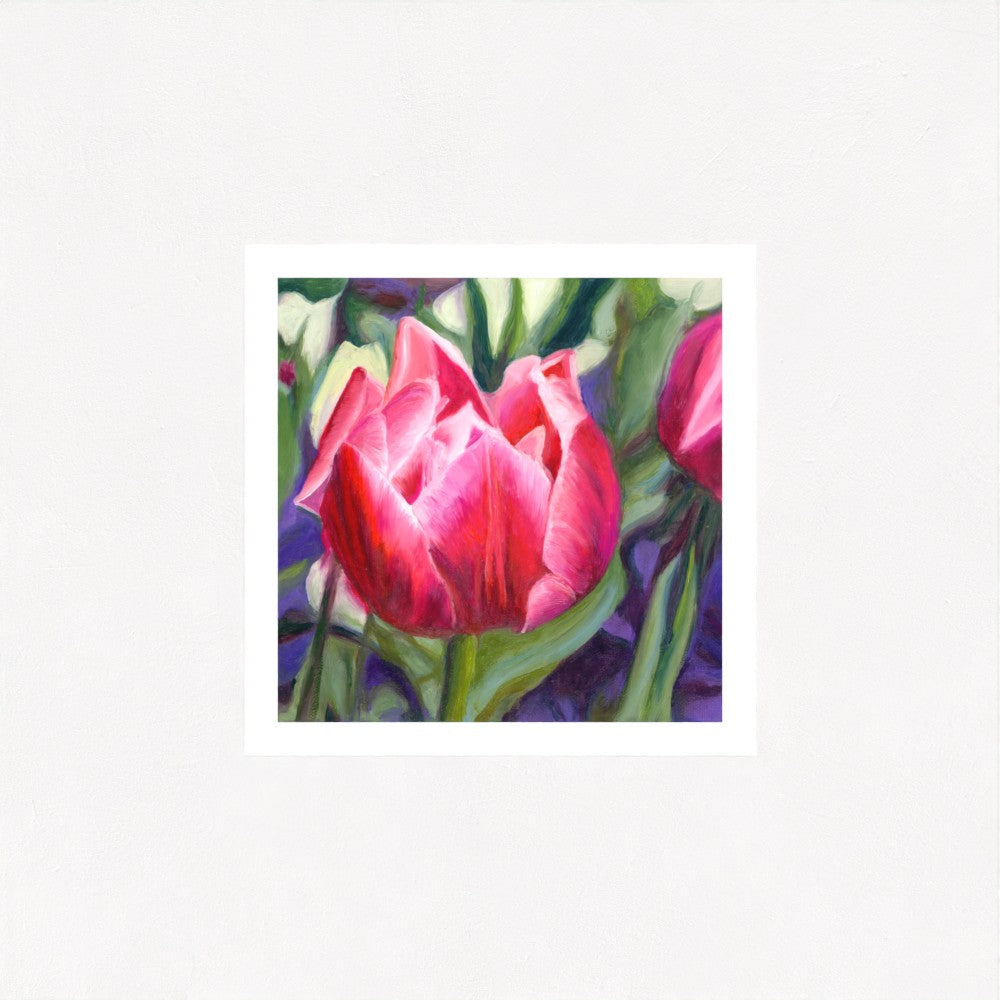 Rosy Tulip: A Blushing Delight
