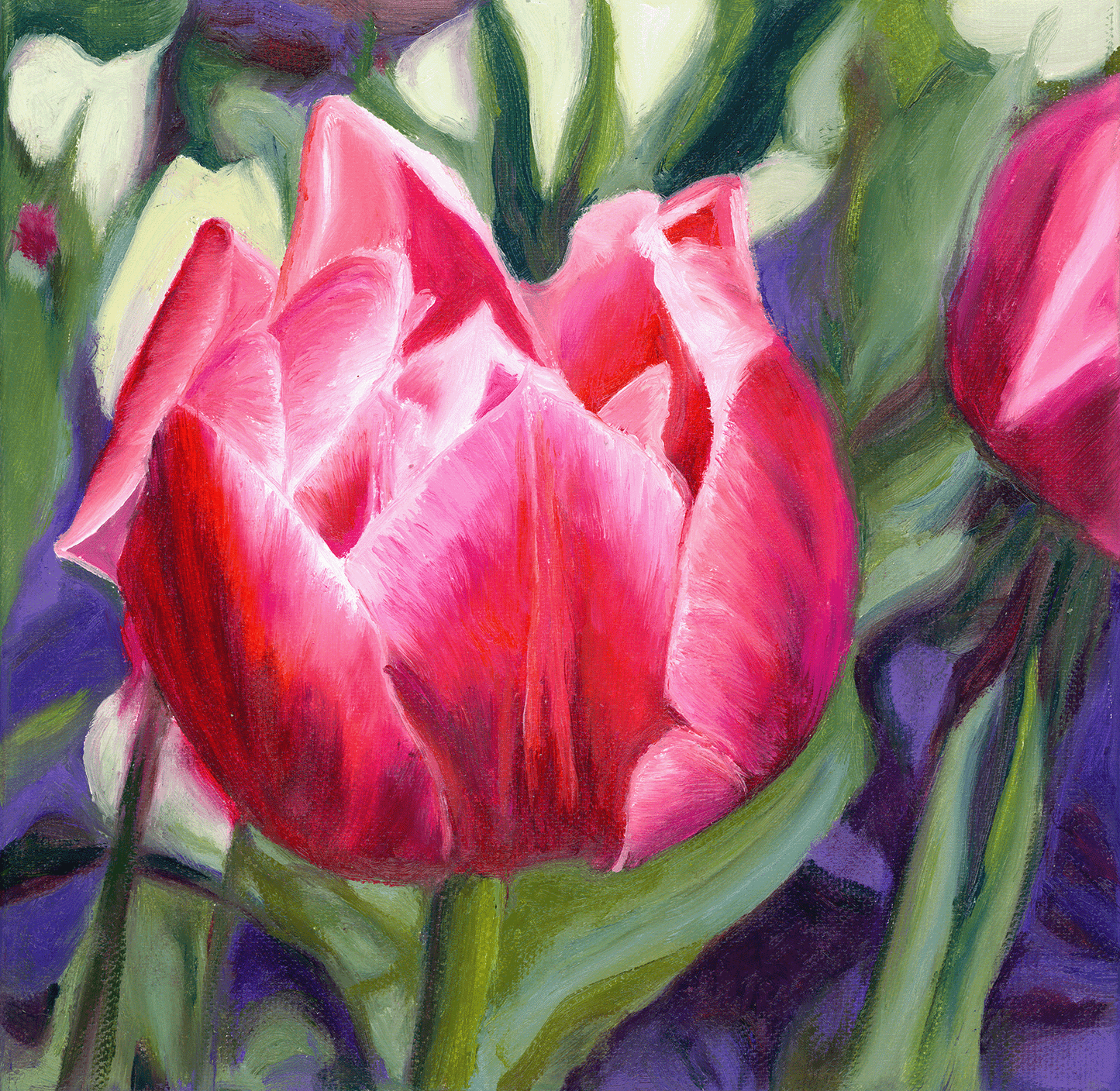Rosy Tulip: A Blushing Delight
